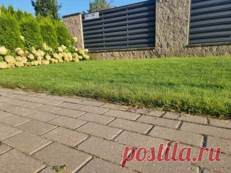 Как с помощью кипятка избавиться от сорняков на дорожках на весь сезон: экологичный способ, который работает лучше гербицидов. Кипяток, казалось бы, слишком простое средство, чтобы воспринимать его всерьез, но практика доказывает обратное.