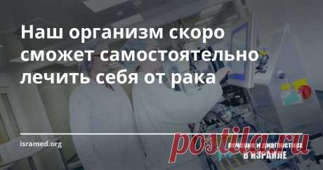 Наш организм скоро сможет самостоятельно лечить себя от рака Ученые пытаются создать лекарство, которое давало бы клеткам искусственно созданную инструкцию. Тогда организм мог бы сам воспроизводить нужные белки, отсутствие которых вызывает развитие заболеваний.