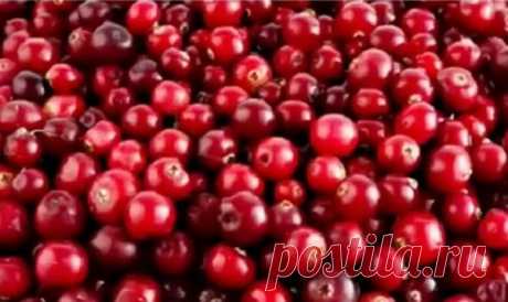 В чем польза ягод клюквы польза клюквы для организма,
польза клюквы для здоровья,
клюква польза и вред для здоровья,клюква польза для человека,ягода клюква кислая,