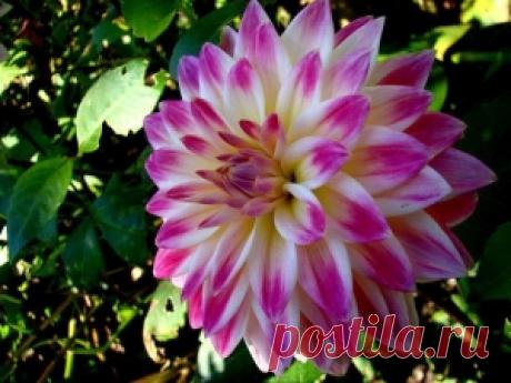 Enchanting by chelsey.j.brown on Indulgy.com