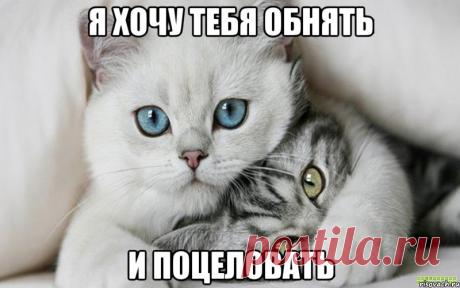 Картинки на тему «Так хочу обнять тебя и поцеловать!» (13 фото) ⭐ Забавник