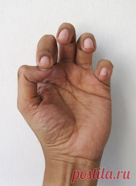 СЕРИЯ - ЦЕЛИТЕЛЬНЫЕ МУДРЫ. ЧАСТЬ 1.