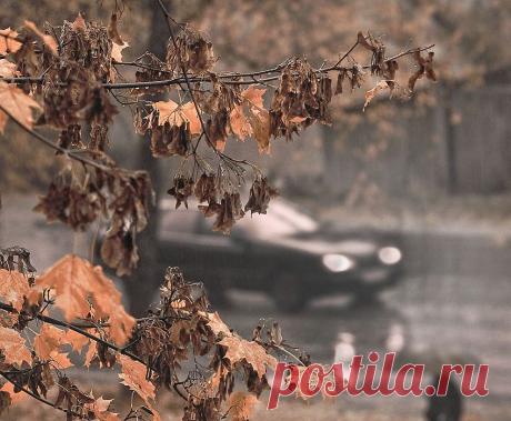 ноктюрн (Ершова Марина) / Стихи.ру - национальный сервер современной поэзии