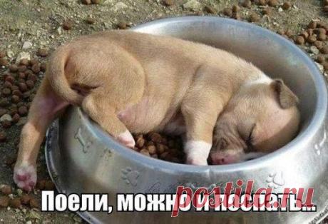 Тортик "Машенька".Пальчики оближешь! Вкуснотища необыкновенная! Все секреты приготовления! только в нашем официальном источникe по ссылке: ►►► io.ua/www.php?w=https://exchefpovarok.blogspot.com/2015/05/blog-post_63.html .Приятного аппетитa, надеюсь, вам понравится!