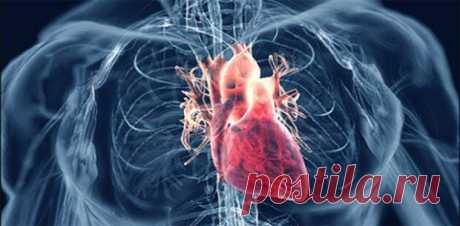 Топ-7 суперпродуктов для снижения высокого артериального давления - Живите Здорово! - медиаплатформа МирТесен Вы страдаете от высокого артериального давления? Вы хотите избежать использования рецептурных препаратов от артериального давления? Попробуйте эти суперпродукты и наслаждайтесь изменениями. Кровяное давление — это сила, прикладываемая кровью на стенках артерий, когда сердце накачивает кровь. Если