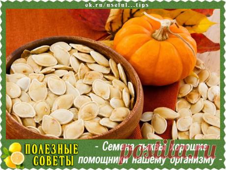 (5) Одноклассники