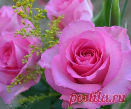 Мой Мир@Mail.Ru