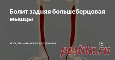 Болит задняя большеберцовая мышцы Статья автора «Йога для начинающих для здоровья» в Дзене ✍:   Боль в задней большеберцовой мышце, возникающая вследствие перенапряжения или травмы, проявляется ощутимым дискомфортом в области голени и