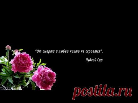 💘 Когда душа на небо полетит 💘