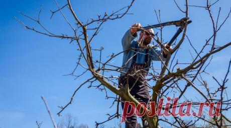 Лунный посевной календарь на март 2018 год на Supersadovnik.ru