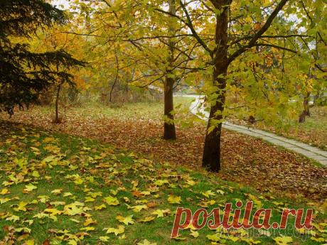 Осенняя пора – очей очарованье Осень всегда интересное время для
цветной фотографии. «В багрец и золото
одетые леса» хочется фотографировать до бесконечности долго. Выбрать из лучших
фото самые лучшие задача непосильная.
Попробую...