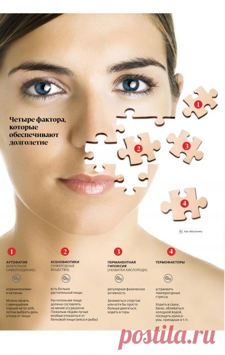 «Старение победить нельзя, а вот смерть можно отодвинуть»