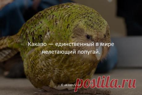 Это интересно!