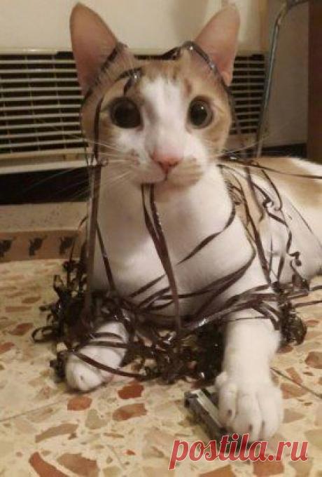 О, это была твоя любимая кассета?