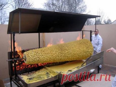 >Необычный литовский торт Шакотис, похожий на ёлку