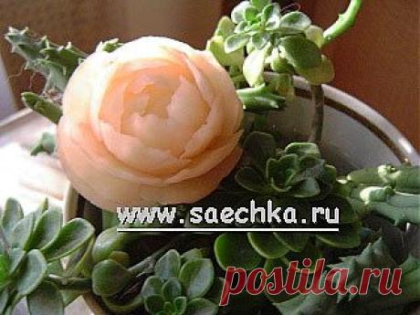 Картофельная роза | рецепты на Saechka.Ru