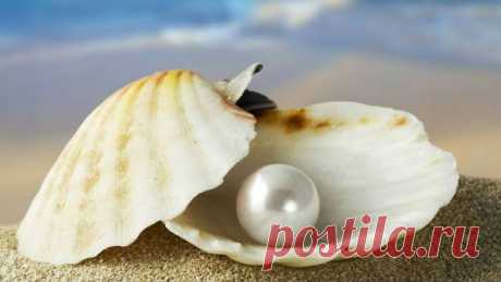 Принцип жемчужной раковины