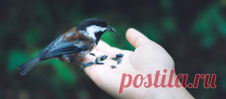 10 выгодных вкладов для тех, у кого мало денег