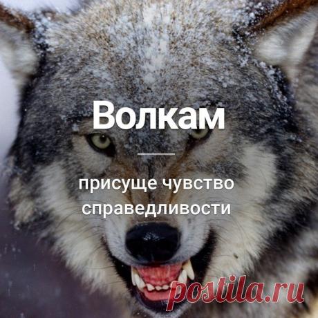 Валерий Дунаев - Боровичи, Новгородская обл., Россия, 74 года на Мой Мир@Mail.ru