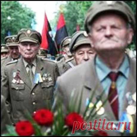 Сионисты отравили сознание многих украинцев страшным ядом предательства – Новости РуАН