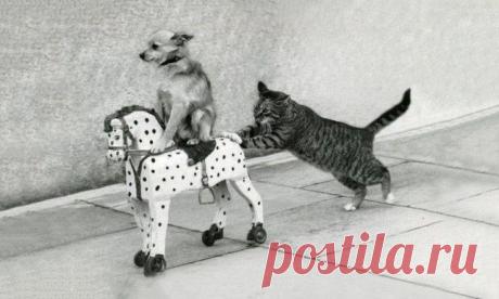 20 мыслей, которые не нужны вам в 2015 году