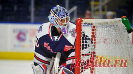 Георгиев признан третьей звездой недели в НХЛ. Российский голкипер «Колорадо Эвеланш» Александр Георгиев был признан третьей звездой игровой недели регулярного чемпионата Национальной хоккейной лиги (НХЛ). Читать далее