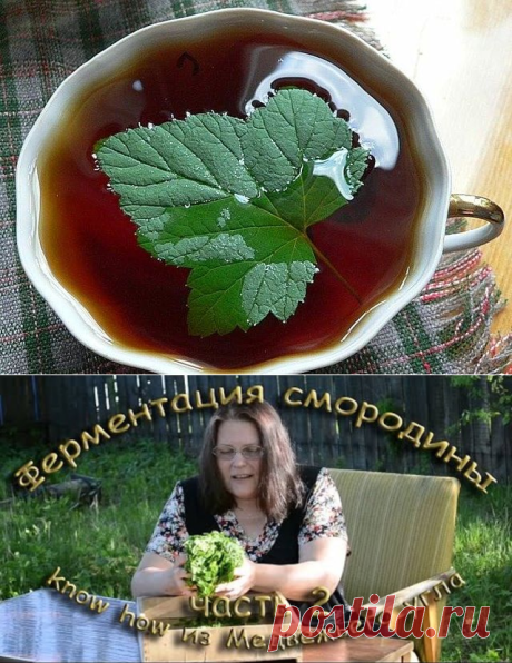 Одноклассники
