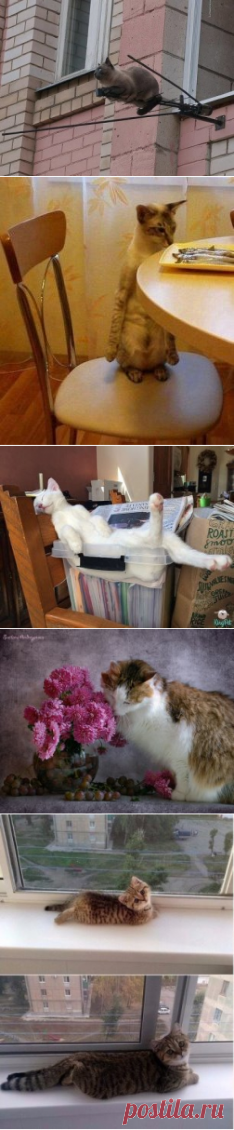 Одноклассники