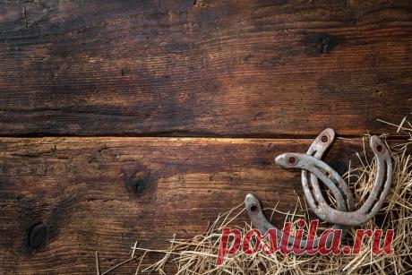 Как удачно продать и купить квартиру ‒ приметы и поверья | ГородКвадратов.ру | Яндекс Дзен