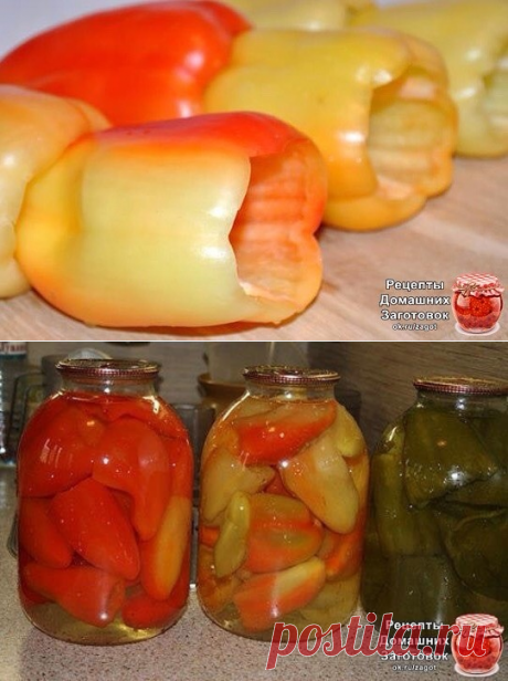 ПЕРЕЦ ДЛЯ ФАРШИРОВКИ