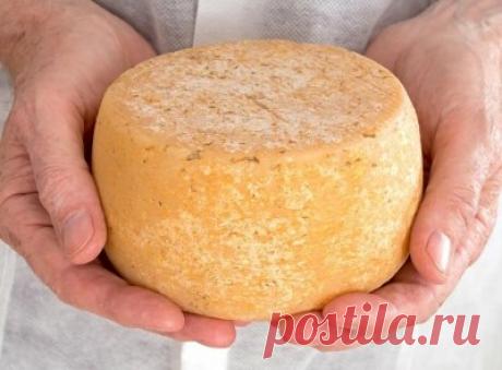 Готовим сами: полезный домашний твердый сыр Ингредиенты: Молоко - 2 л (молоко идеально домашнее, можно пастеризованное.... Айболит - Мой Мир@Mail.ru