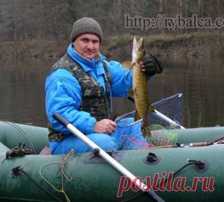 Приманки для ловли щуки