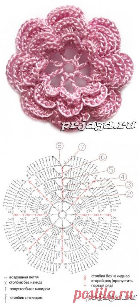 Цветок крючком схема