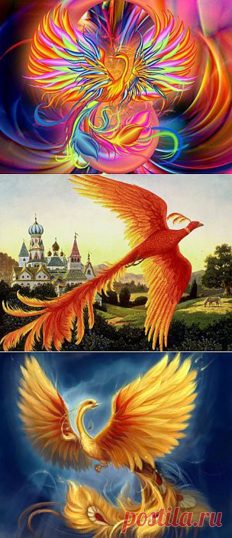 ВЛЕТАЕМ В НОВЫЙ ГОД НА ЖАР-ПТИЦЕ! | Сказочная жизнь от Эльфики