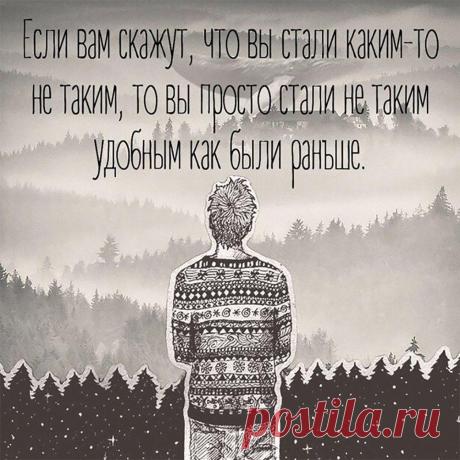 Без комментария