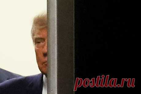 Трамп прокомментировал обвинения против себя. Бывший президент США Дональд Трамп прокомментировал обвинения против себя и назвал слушания в Нью-Йорке по этому поводу шокирующими. По словам Трампа, в ходе слушания не было «сюрпризов». «Следовательно, доказательств нет. Ничего противозаконного сделано не было», — добавил он.