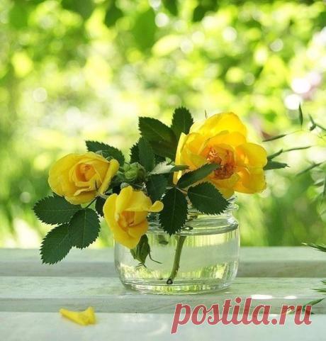 Мой Мир@Mail.Ru