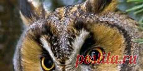 Мастер Наталья Жукова.