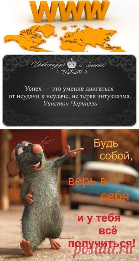 Академия Рекламы и Бизнеса в интернете