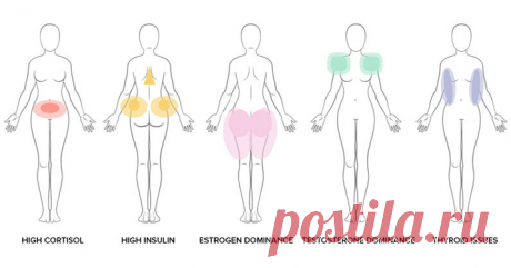 Как договориться с гормонами, которые не дают похудеть - Все обо Всем