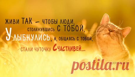 Мудрые, позитивные и короткие высказывания о жизни великих людей