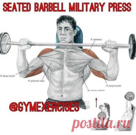 Первые шаги в зале / Спорт Сильных!