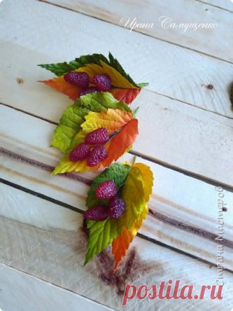 Мастер-класс. Брошь "Спелая ягодка" из фоамирана!