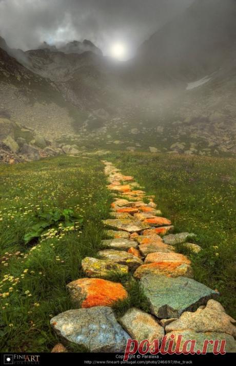 Belgique | colorel11: orange pathway