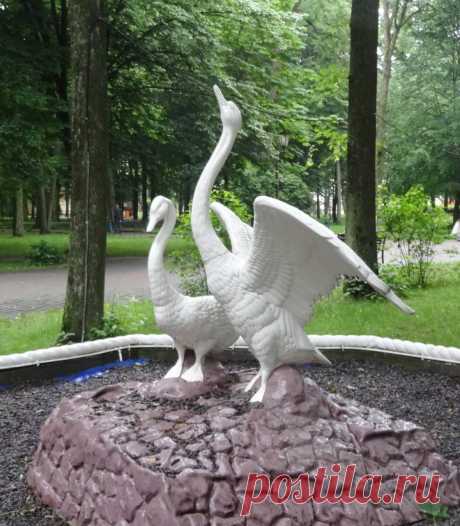 лебеди
Кобрин Брестская обл