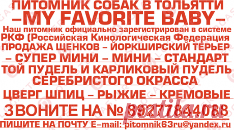 продажа щенков