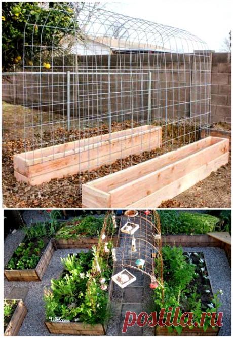 Идеи дизайна клумб и грядок