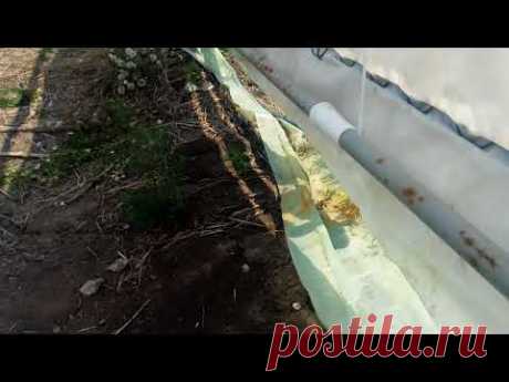 никто в мире так не додумается накрываем теплицу 50-12метров пленкой 200мк вдвоем