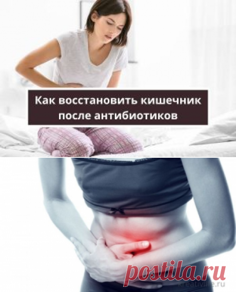 Как восстановить микрофлору кишечника после антибиотиков | Психология