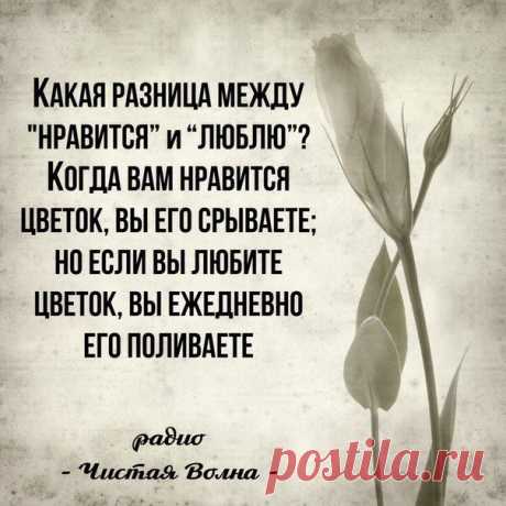 "Если человек не начнёт работать над самим собой, то диавол найдёт ему другую работу — заниматься другими (выискивать недостатки у других)".
Преподобный Паисий Святогорец
